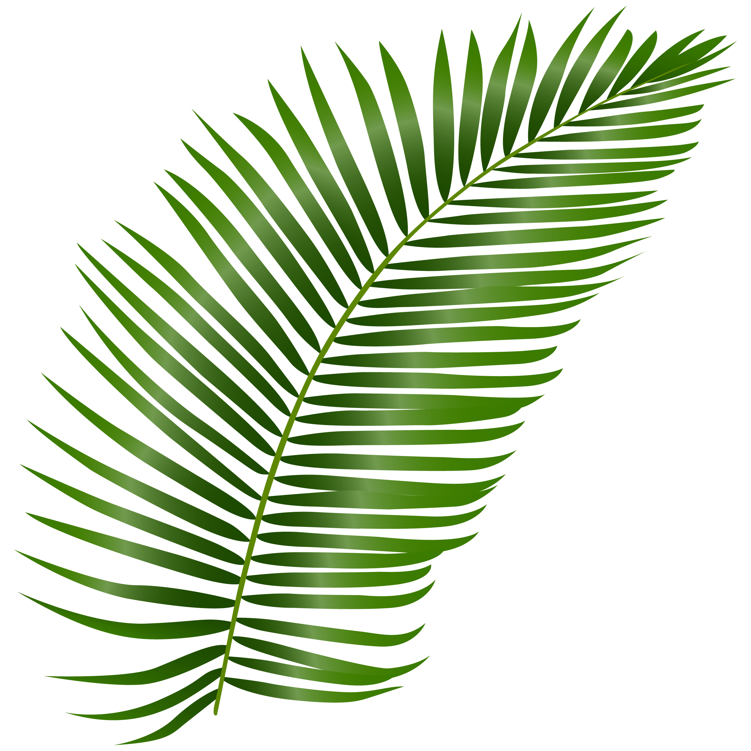 leaf-image2