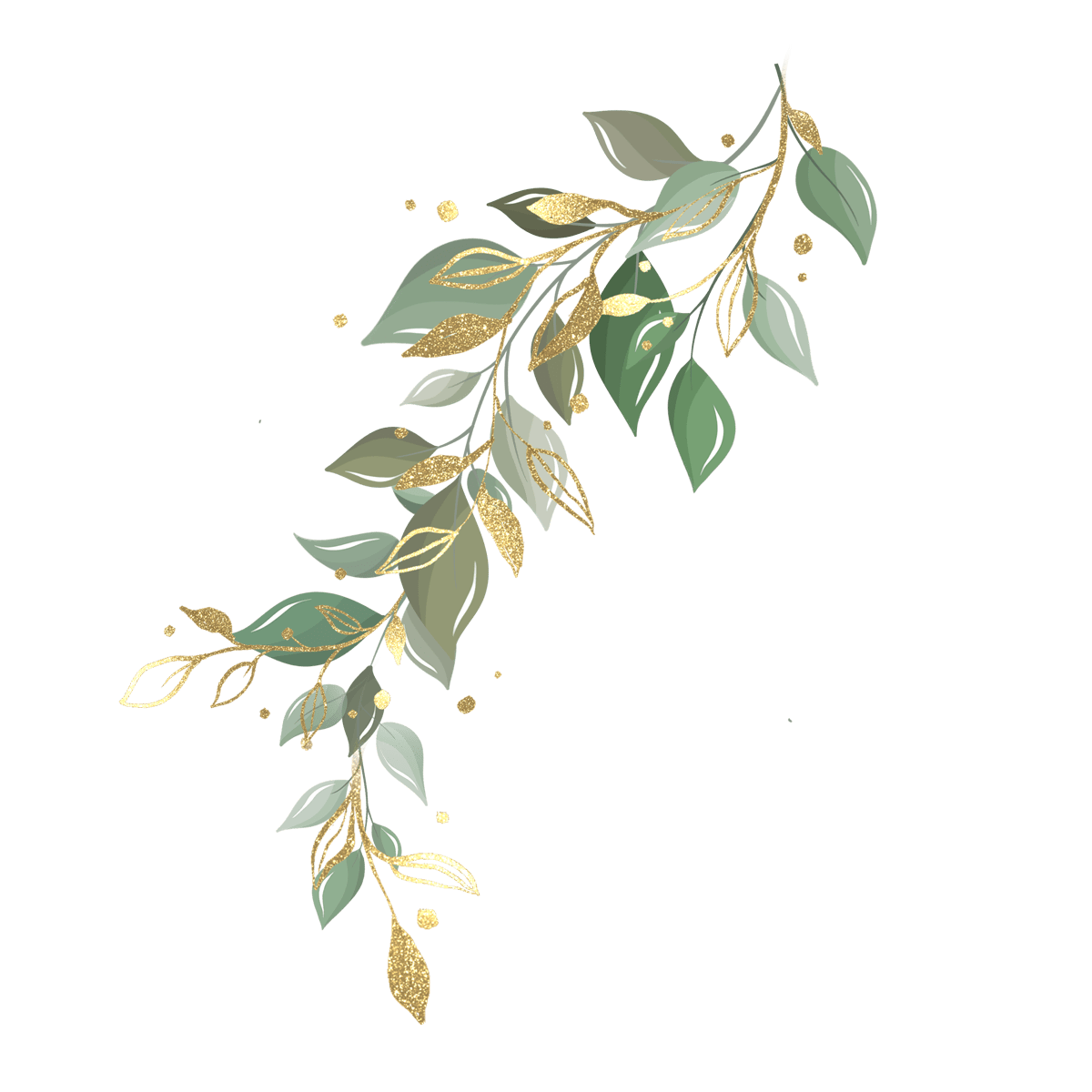 leaf_iamge